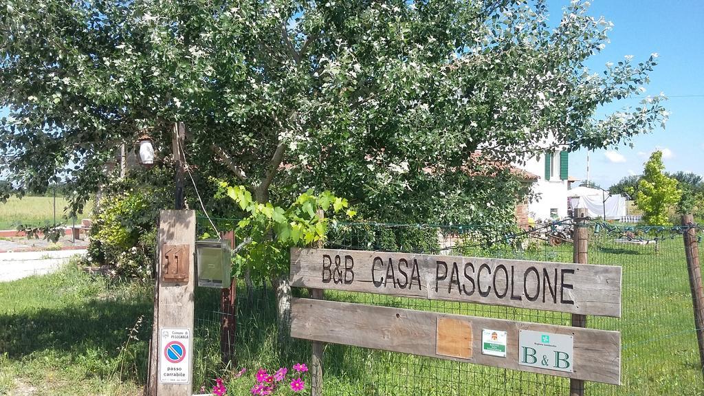 B&B Casa Pascolone Pegognaga Eksteriør bilde
