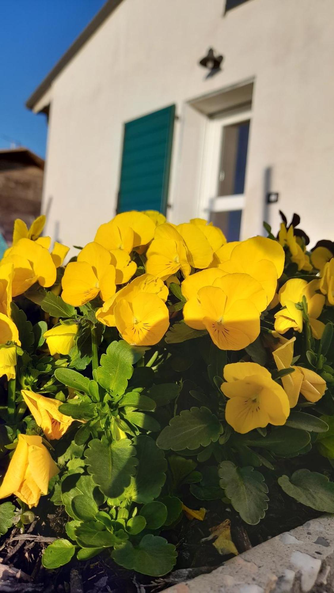 B&B Casa Pascolone Pegognaga Rom bilde